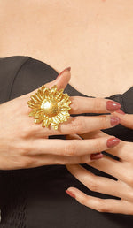 Cargue la imagen en el visor de la galería, Feast Ring - Aquadan.co