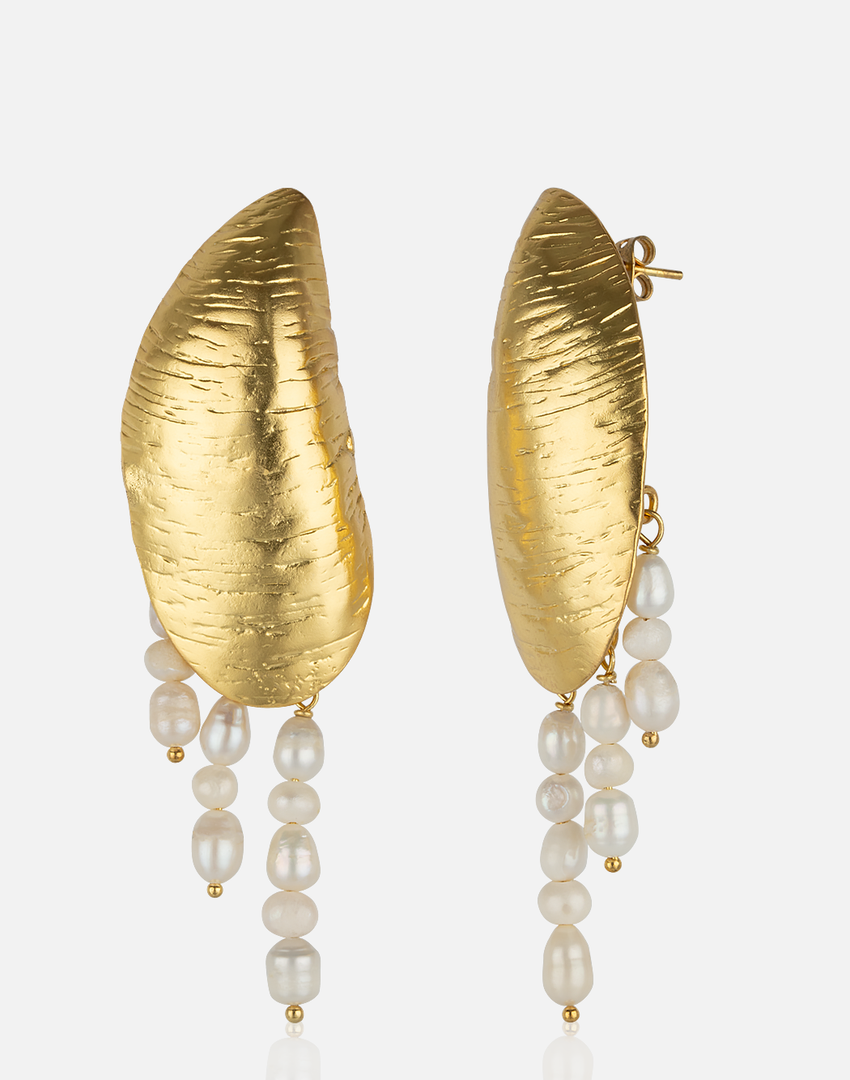 Arete de conchas