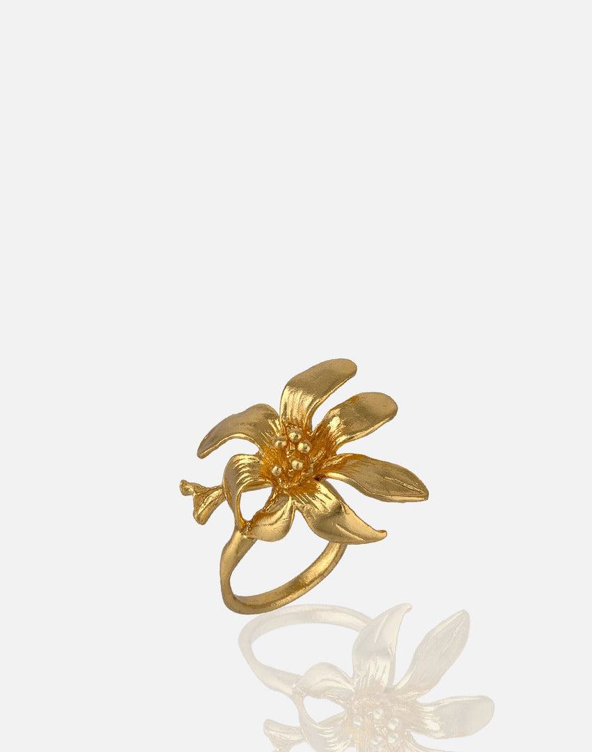 24K gold plated Aquadan.co ring RG00271 inspired by Hellenistic mythologies.
